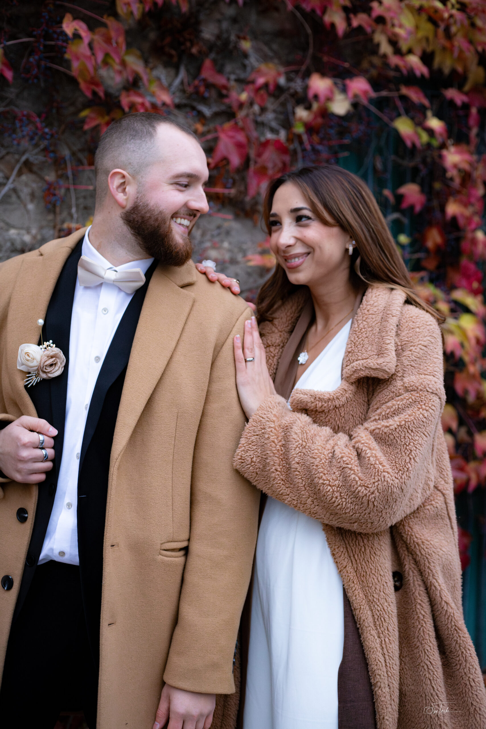 IMG_7628-Enhanced-NR